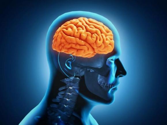 Questi fatti sul cervello dimostrano che siamo in grado di fare qualsiasi cosa
