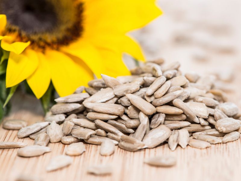 Semi di girasole: proprietà benefiche, calorie e controindicazioni