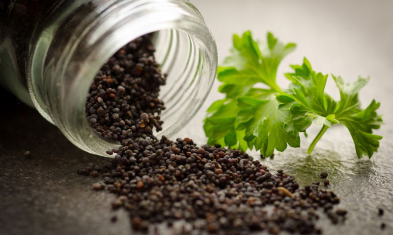 Semi di chia: proprietà, benefici e controindicazioni