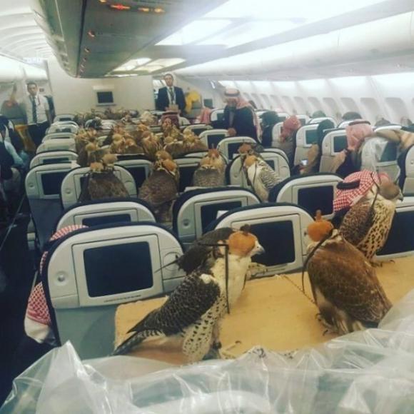 Ecco le cose più strane successe in aereo