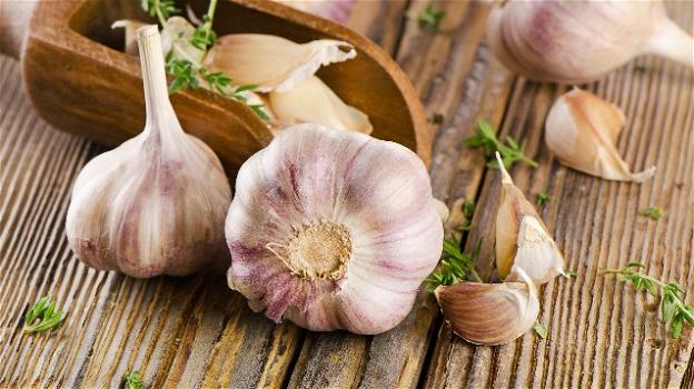 Proprietà benefiche dell’aglio e come utilizzarlo