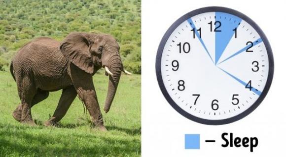 Grazie a queste tecniche riuscirete ad addormentarvi in fretta e serenamente