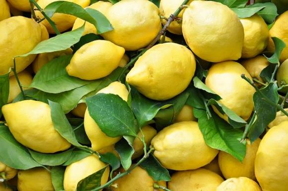 Come usare i limoni contro diabete, obesità, ipertensione e reflusso