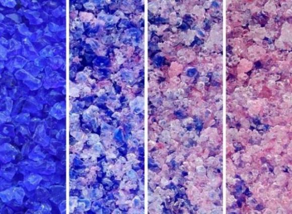 Non buttare mai più queste cose nella spazzatura! Possono farti risparmiare molti soldi