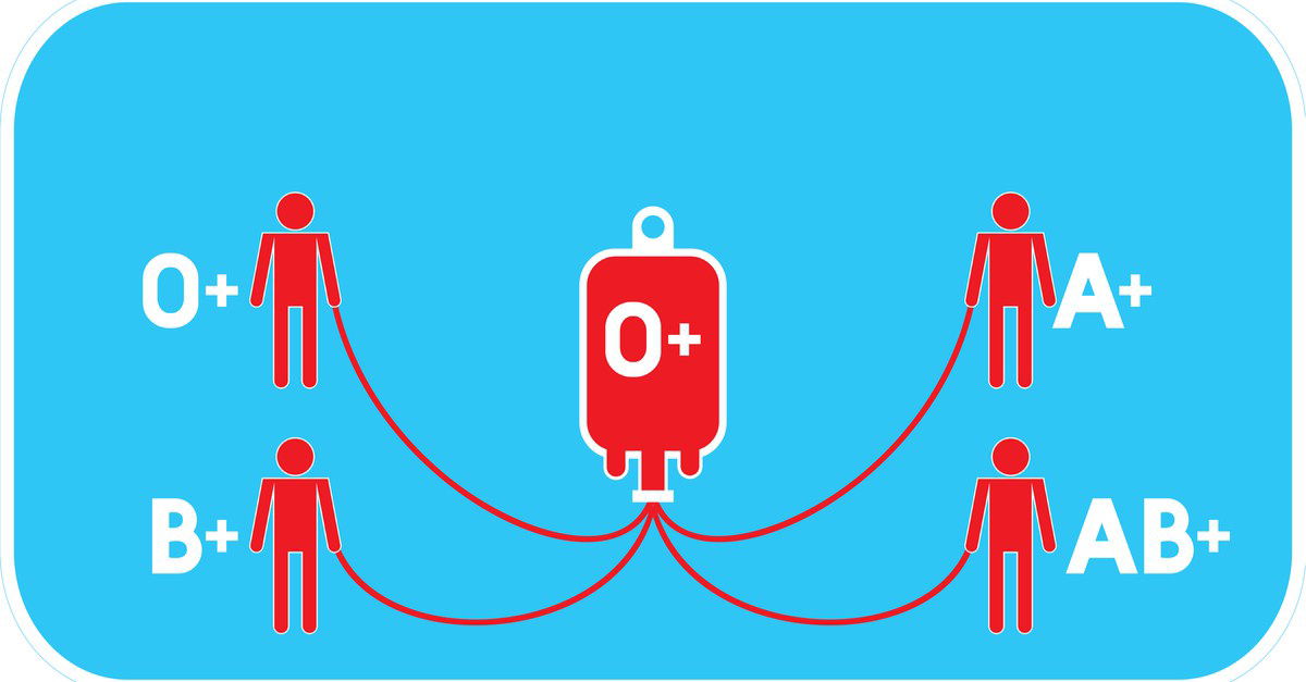 Ecco alcune cosa da sapere sul proprio gruppo sanguigno