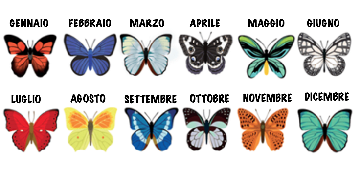 Ecco cosa rivelano queste farfalle sul tuo mese di compleanno