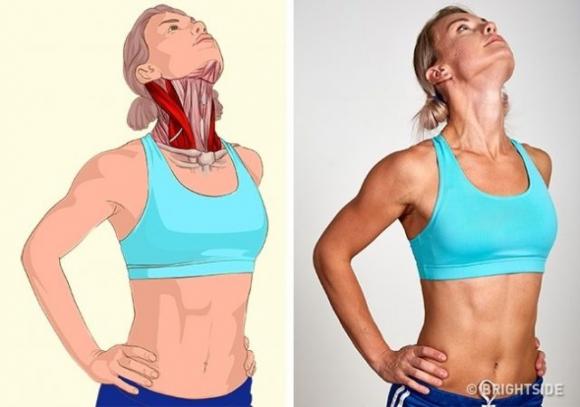 Ecco alcuni esercizi di stretching e quali sono i muscoli coinvolti