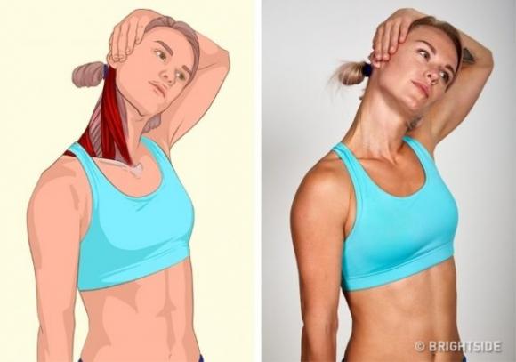 Ecco alcuni esercizi di stretching e quali sono i muscoli coinvolti