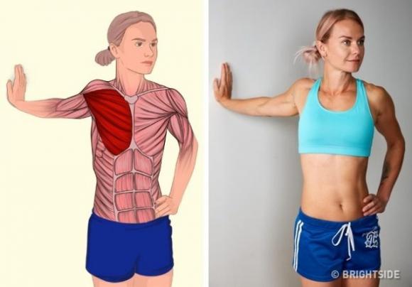 Ecco alcuni esercizi di stretching e quali sono i muscoli coinvolti