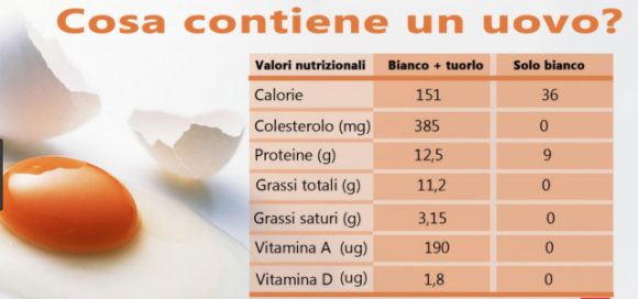 Dieta dell’uovo bollito: ecco come perdere peso in una settimana!