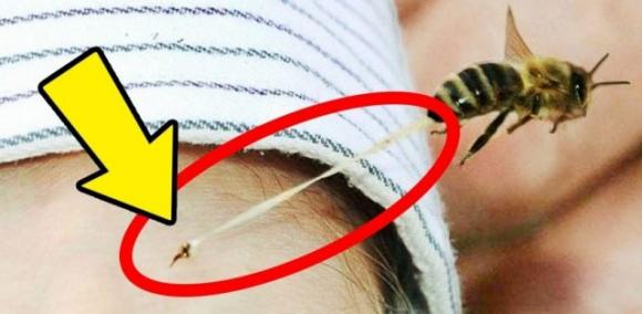 12 luoghi comuni che non credevi fossero reali (e invece lo sono!)