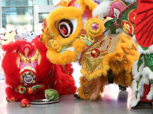 Segni Zodiacali Cinesi Quali Sono Significato E Calcolo