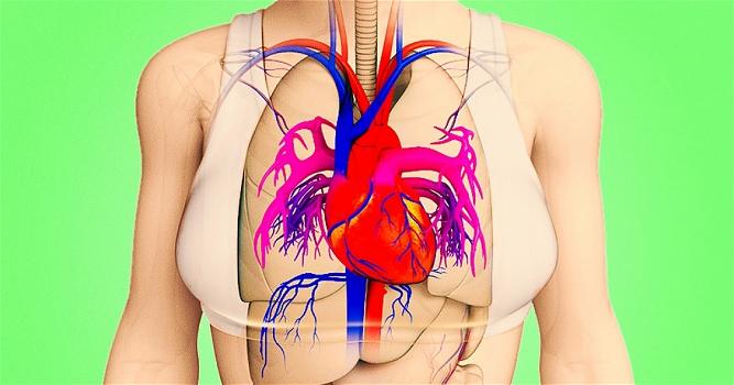 Ecco 8 sintomi dell’infarto da non sottovalutare!