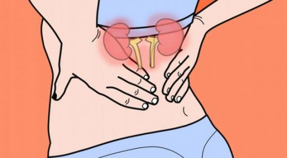 10 segni che i tuoi reni non funzionano correttamente