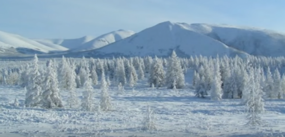 Non fa abbastanza freddo? Perché non visiti il villaggio più freddo della Terra?