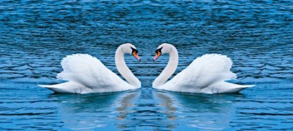 Ecco alcune cose che non dovresti mai dire al tuo partner, non importa quanto siate intimi.