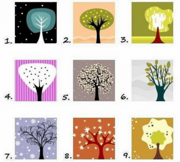 TEST DELL’ALBERO: SCEGLI IL TUO ALBERO PREFERITO E SCOPRI LA TUA VERA PERSONALITÀ!