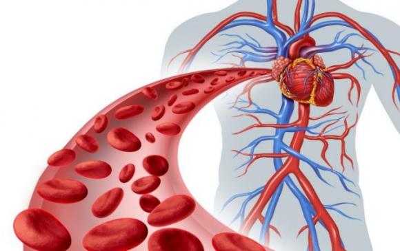 10 segnali di avvertimento di una scarsa circolazione sanguigna, che devi assolutamente sapere