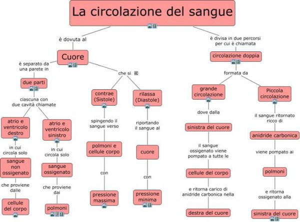 10 segnali di avvertimento di una scarsa circolazione sanguigna, che devi  assolutamente sapere