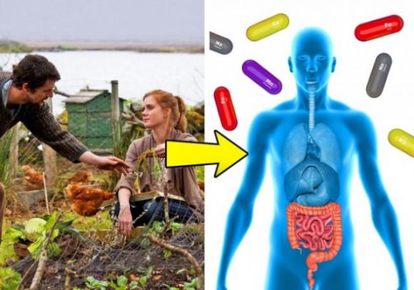 11 modi inaspettati per liberare il tuo corpo dalle tossine