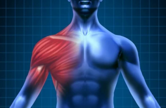 Ecco quali muscoli utilizziamo durante lo stretching