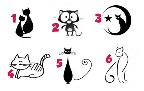 Test di personalità: Che tipo di gatto sei?