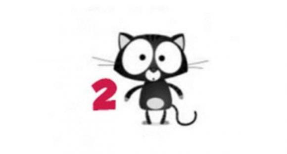 Test di personalità: Che tipo di gatto sei?