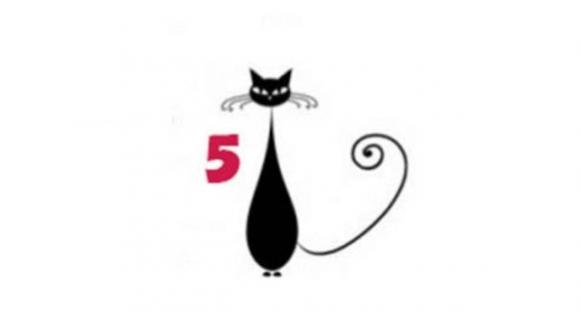 Test di personalità: Che tipo di gatto sei?