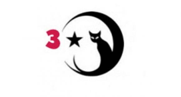 Test di personalità: Che tipo di gatto sei?