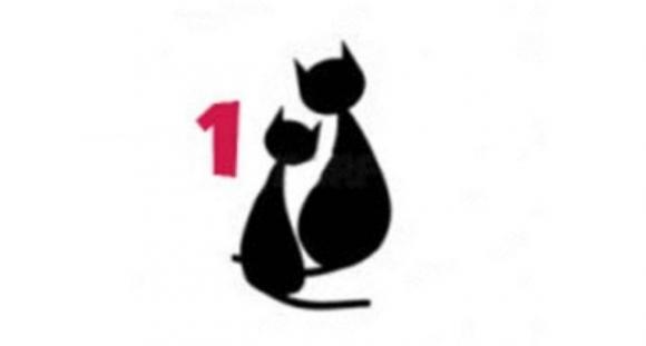 Test di personalità: Che tipo di gatto sei?
