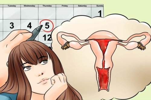 5 cose che ogni donna dovrebbe conoscere delle ovaie