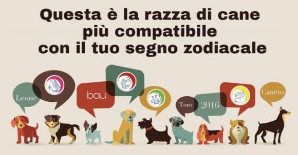 Questa è la razza di cane più compatibile con il tuo segno zodiacale