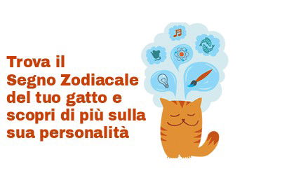 Trova il Segno Zodiacale del tuo gatto e scopri di più sulla sua personalità