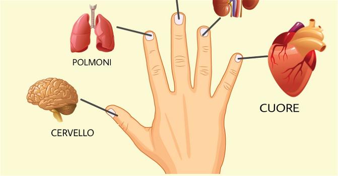 Ogni dito è collegato a 2 organi: un antico metodo giapponese per la cura del corpo in 5 minuti!