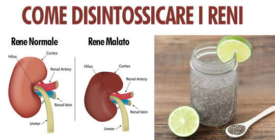 Come disintossicare i reni e migliorare la loro funzionalità