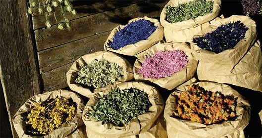 Scopri le incredibili proprietà benefiche dell’olio 31 e il suo utilizzo
