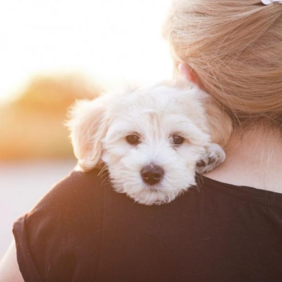 Il mio cane è la mia famiglia e io lo amo come un bambino