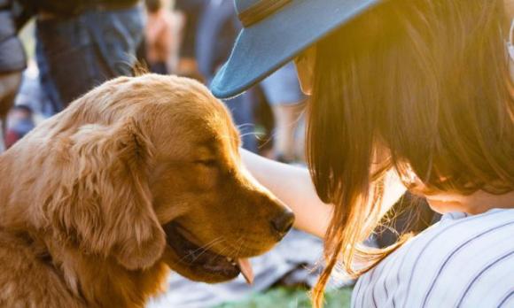 Il mio cane è la mia famiglia e io lo amo come un bambino
