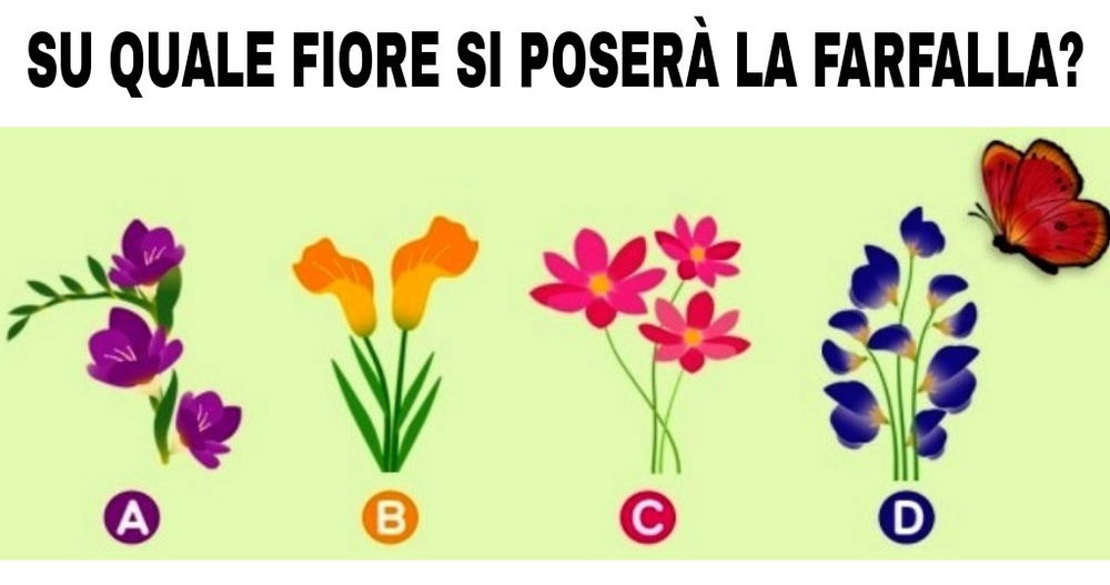 Test incredibile sulla tua relazione! Su quale fiore si poserà la farfalla?