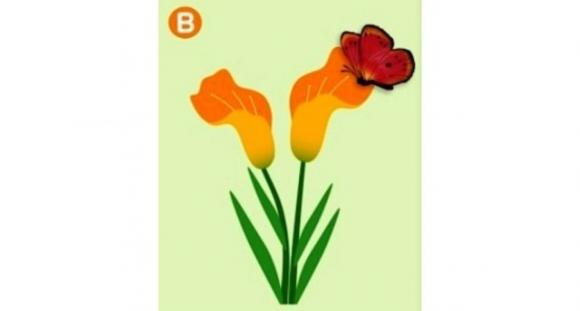 Test incredibile sulla tua relazione! Su quale fiore si poserà la farfalla?
