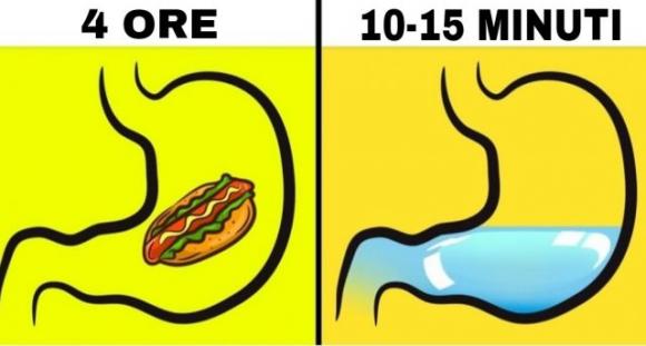 Bere acqua durante i pasti fa bene o male?