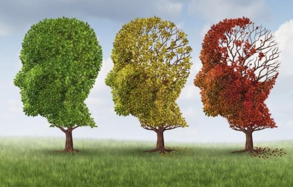 Gli scienziati spiegano come l’ansia influenza le probabilità di sviluppare il morbo di Alzheimer