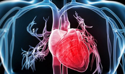 7 rimedi naturali per pulire le arterie e salvarti la vita