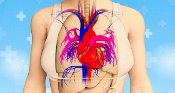 Un mese prima di un infarto il tuo corpo ti avviserà con questi segni. È fondamentale riconoscerli!