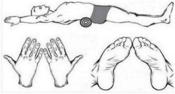 Nessuna dieta, nessuna ginnastica, solo 5 minuti: questa tecnica giapponese per perdere peso è molto efficace