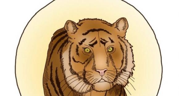 Il tuo segno zodiacale birmano secondo lo Zodiaco Myanmar e ciò che dice di te