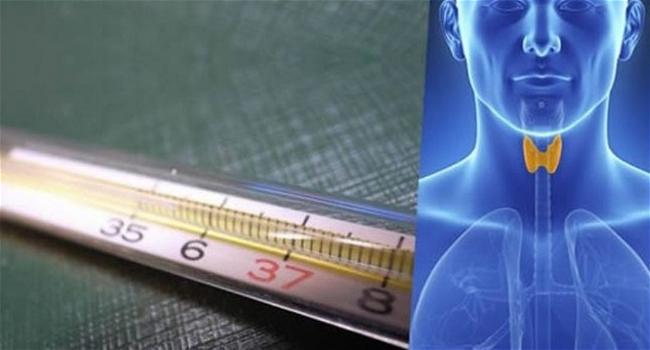 Sapevi che esiste un test semplice per controllare la salute della tiroide a casa? Ti basta avere un termometro!