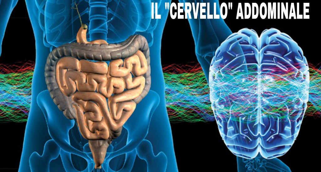 Cervello Addominale Le Emozioni Influiscono Sul Nostro Apparato Digerente