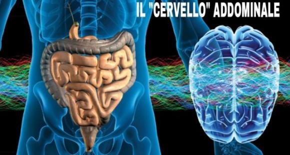 Cervello addominale: le emozioni influiscono sul nostro apparato digerente