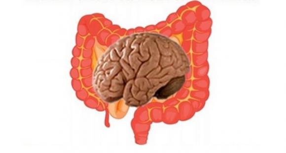 Cervello addominale: le emozioni influiscono sul nostro apparato digerente